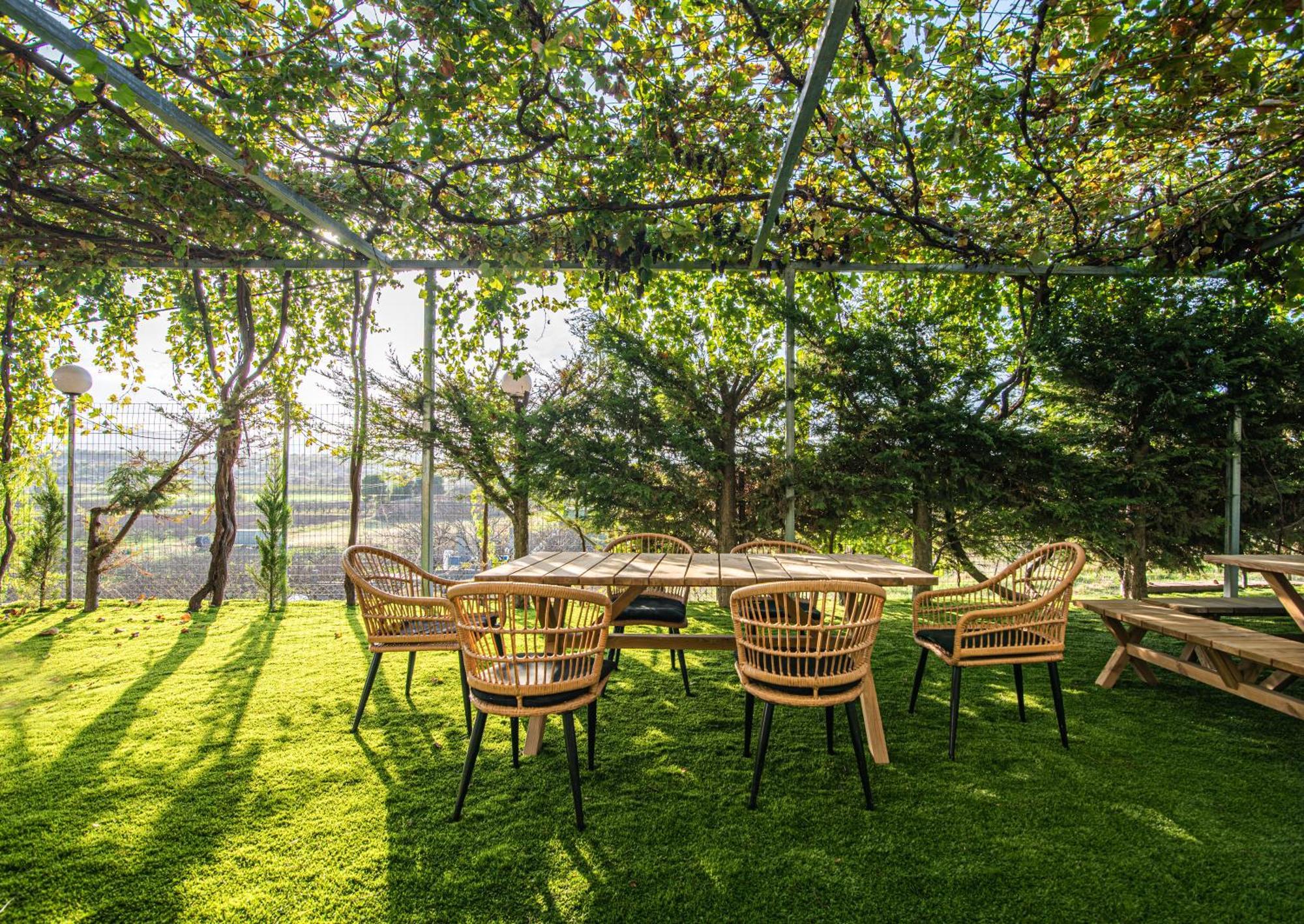 Mirtilo Apartment Oinofyta Экстерьер фото